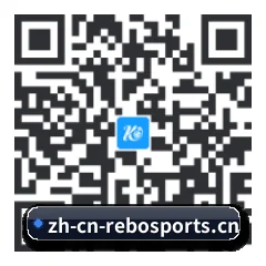 iPhone 专版 二维码